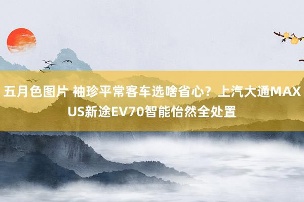 五月色图片 袖珍平常客车选啥省心？上汽大通MAXUS新途EV70智能怡然全处置