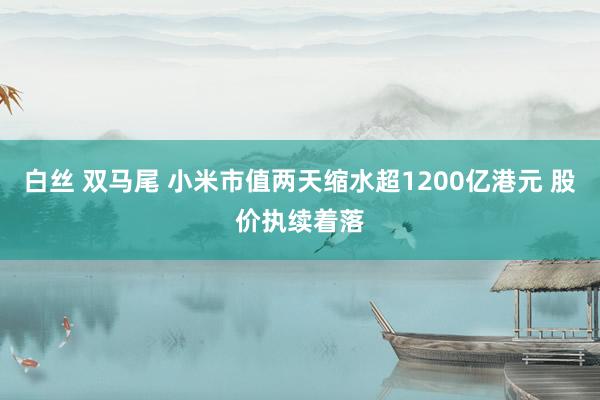 白丝 双马尾 小米市值两天缩水超1200亿港元 股价执续着落