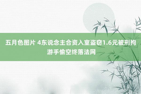 五月色图片 4东说念主合资入室盗窃1.6元被刑拘 游手偷空终落法网