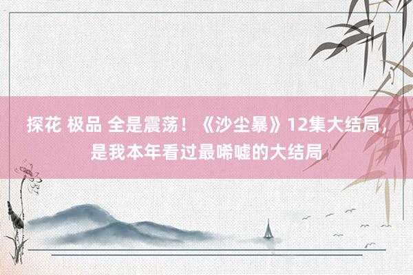 探花 极品 全是震荡！《沙尘暴》12集大结局，是我本年看过最唏嘘的大结局