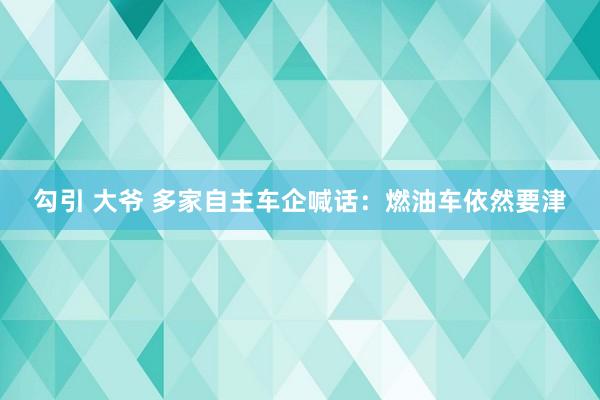 勾引 大爷 多家自主车企喊话：燃油车依然要津