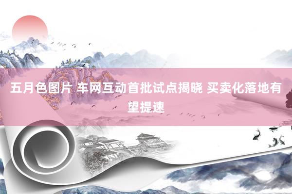 五月色图片 车网互动首批试点揭晓 买卖化落地有望提速