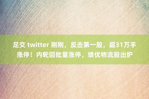 足交 twitter 刚刚，反击第一股，超31万手涨停！内轮回批量涨停，绩优物流股出炉