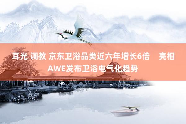 耳光 调教 京东卫浴品类近六年增长6倍    亮相AWE发布卫浴电气化趋势