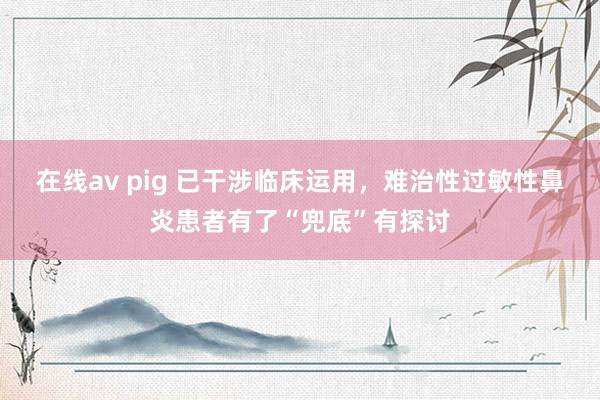 在线av pig 已干涉临床运用，难治性过敏性鼻炎患者有了“兜底”有探讨