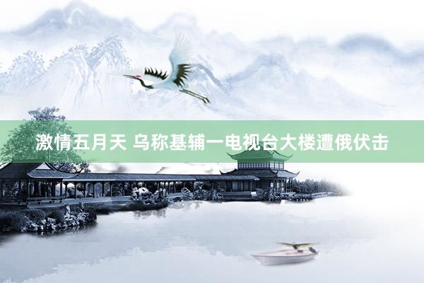 激情五月天 乌称基辅一电视台大楼遭俄伏击