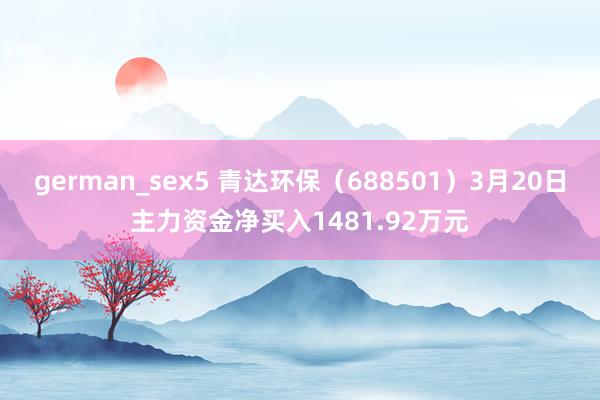 german_sex5 青达环保（688501）3月20日主力资金净买入1481.92万元