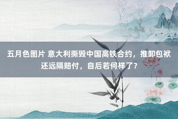 五月色图片 意大利撕毁中国高铁合约，推卸包袱还远隔赔付，自后若何样了？
