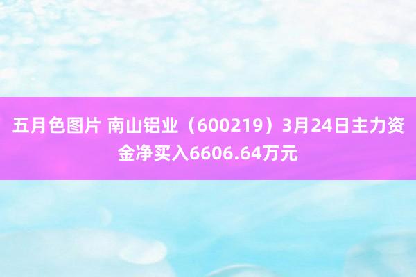 五月色图片 南山铝业（600219）3月24日主力资金净买入6606.64万元