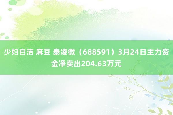 少妇白洁 麻豆 泰凌微（688591）3月24日主力资金净卖出204.63万元