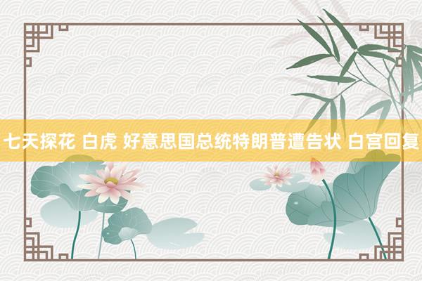 七天探花 白虎 好意思国总统特朗普遭告状 白宫回复