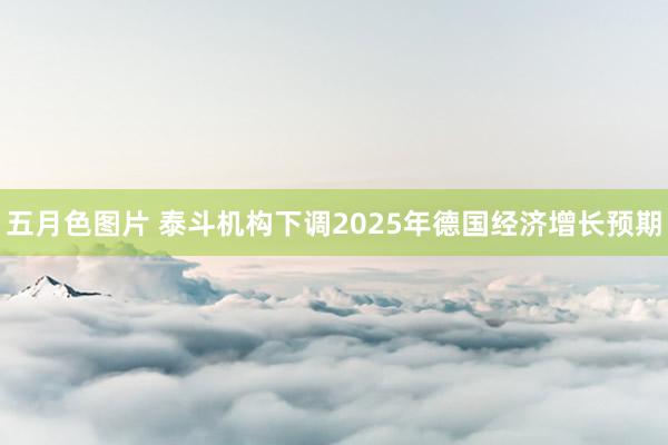 五月色图片 泰斗机构下调2025年德国经济增长预期