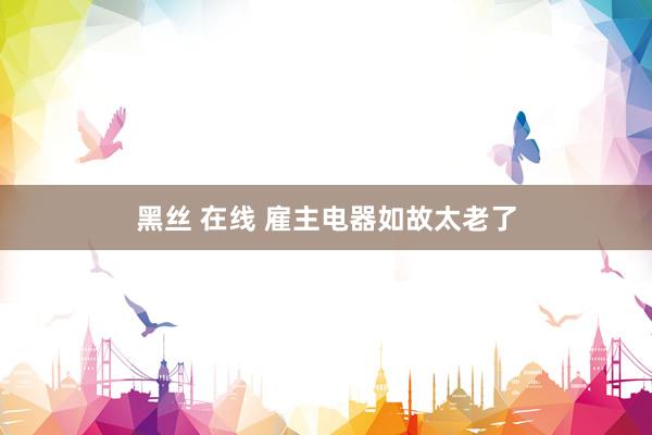 黑丝 在线 雇主电器如故太老了