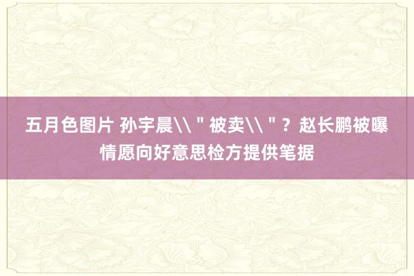 五月色图片 孙宇晨\＂被卖\＂？赵长鹏被曝情愿向好意思检方提供笔据