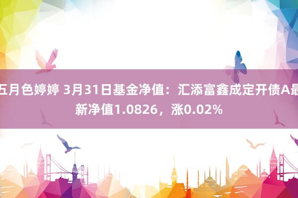 五月色婷婷 3月31日基金净值：汇添富鑫成定开债A最新净值1.0826，涨0.02%