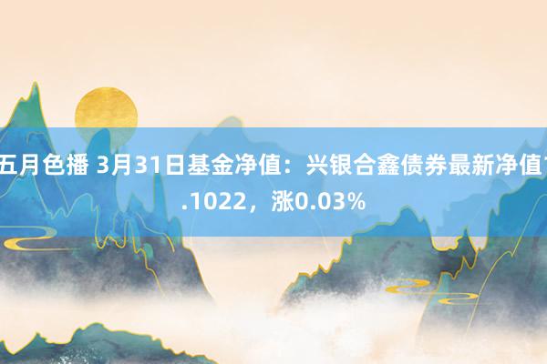 五月色播 3月31日基金净值：兴银合鑫债券最新净值1.1022，涨0.03%