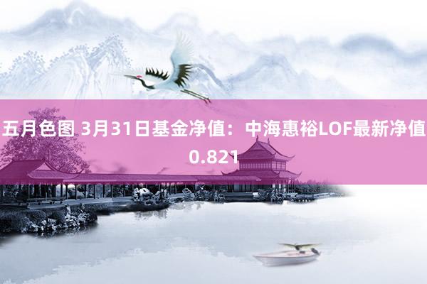 五月色图 3月31日基金净值：中海惠裕LOF最新净值0.821