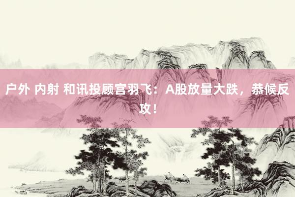 户外 内射 和讯投顾宫羽飞：A股放量大跌，恭候反攻！
