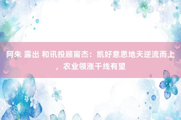 阿朱 露出 和讯投顾甯杰：凯好意思地天逆流而上，农业领涨干线有望