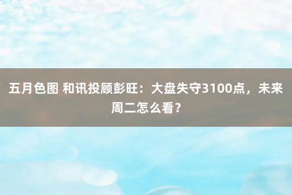 五月色图 和讯投顾彭旺：大盘失守3100点，未来周二怎么看？