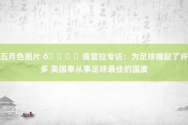 五月色图片 🎙️佩雷拉专访：为足球糟跶了许多 英国事从事足球最佳的国度