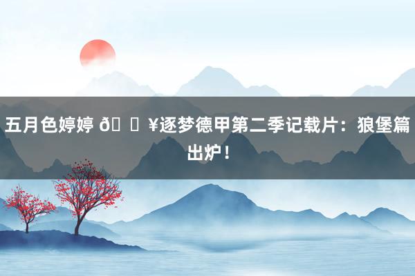 五月色婷婷 🎥逐梦德甲第二季记载片：狼堡篇出炉！