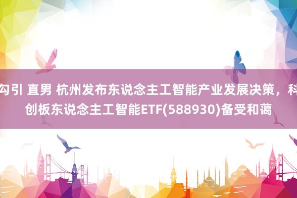 勾引 直男 杭州发布东说念主工智能产业发展决策,科创板东说念主工智能ETF(588930)备受和蔼