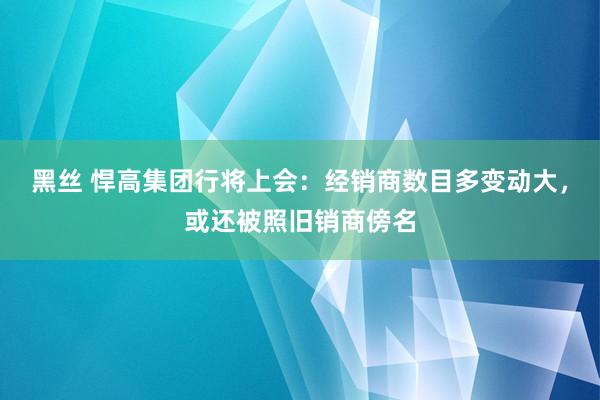 黑丝 悍高集团行将上会：经销商数目多变动大，或还被照旧销商傍名