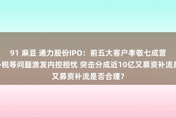 91 麻豆 通力股份IPO：前五大客户孝敬七成营收 退税补税等问题激发内控担忧 突击分成近10亿又募