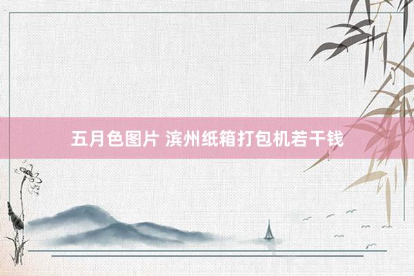 五月色图片 滨州纸箱打包机若干钱