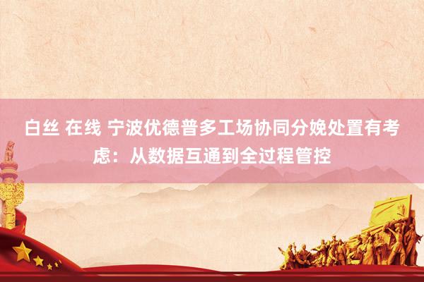 白丝 在线 宁波优德普多工场协同分娩处置有考虑：从数据互通到全过程管控