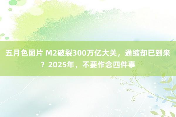 五月色图片 M2破裂300万亿大关，通缩却已到来？2025年，不要作念四件事