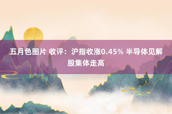 五月色图片 收评：沪指收涨0.45% 半导体见解股集体走高