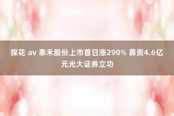 探花 av 泰禾股份上市首日涨290% 募资4.6亿元光大证券立功