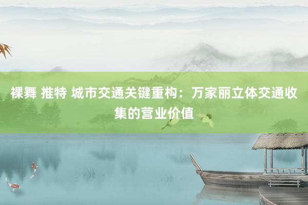 裸舞 推特 城市交通关键重构：万家丽立体交通收集的营业价值