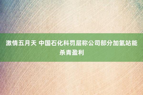 激情五月天 中国石化科罚层称公司部分加氢站能杀青盈利