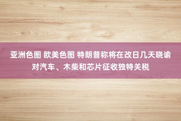 亚洲色图 欧美色图 特朗普称将在改日几天晓谕对汽车、木柴和芯片征收独特关税