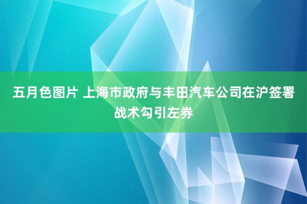 五月色图片 上海市政府与丰田汽车公司在沪签署战术勾引左券