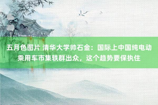 五月色图片 清华大学帅石金：国际上中国纯电动乘用车市集轶群出众，这个趋势要保执住