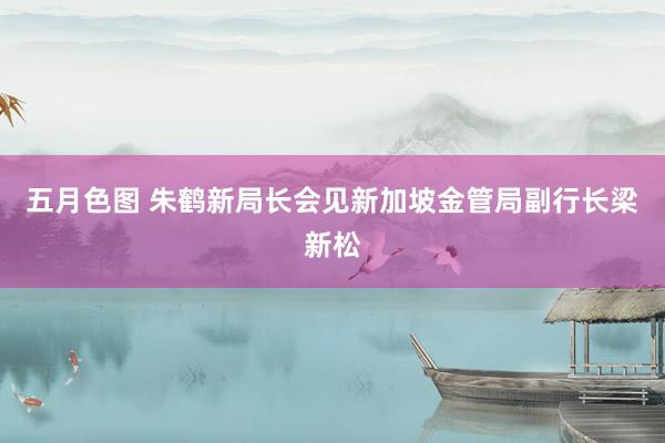 五月色图 朱鹤新局长会见新加坡金管局副行长梁新松
