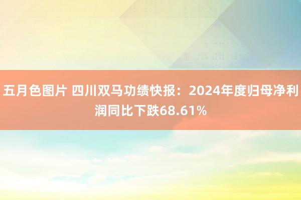五月色图片 四川双马功绩快报：2024年度归母净利润同比下跌68.61%