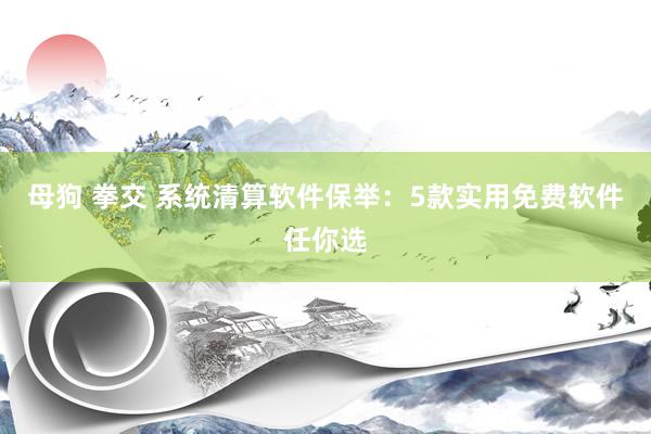 母狗 拳交 系统清算软件保举：5款实用免费软件任你选