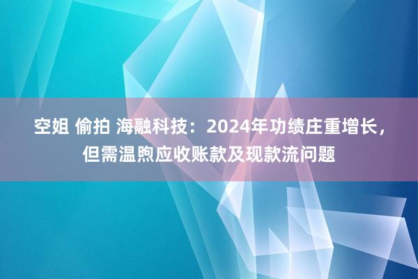空姐 偷拍 海融科技：2024年功绩庄重增长，但需温煦应收账款及现款流问题