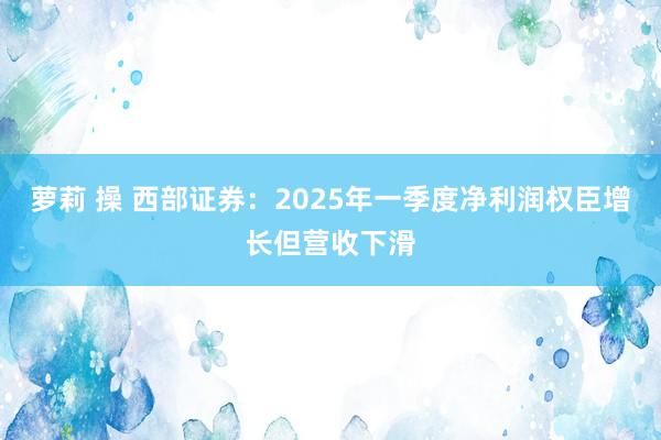 萝莉 操 西部证券：2025年一季度净利润权臣增长但营收下滑