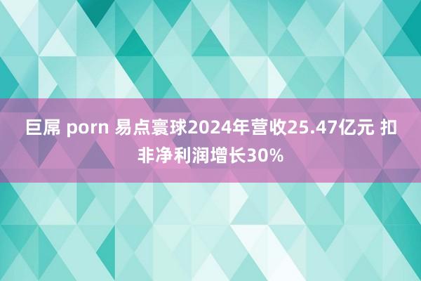 巨屌 porn 易点寰球2024年营收25.47亿元 扣非净利润增长30%