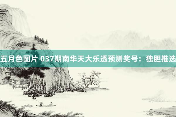 五月色图片 037期南华天大乐透预测奖号：独胆推选